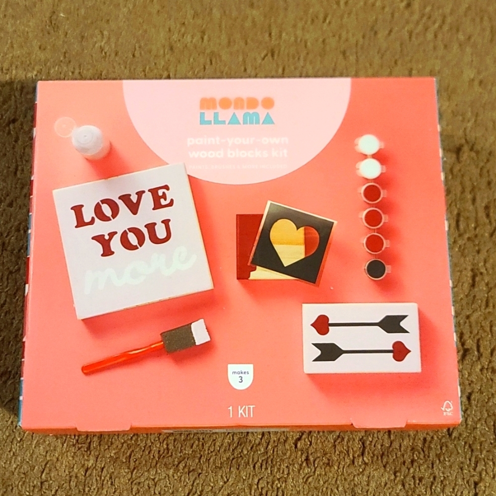 Mondo llama paint your own wood blocks kit